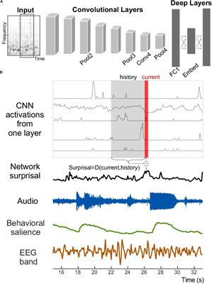 Connecting Deep Neural Networks to Physical, Perceptual, and Electrophysiological Auditory Signals